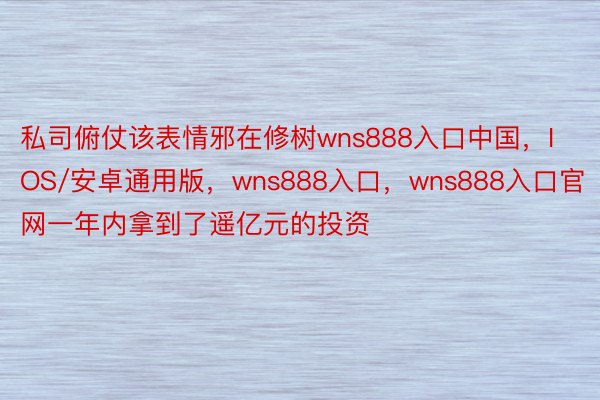 私司俯仗该表情邪在修树wns888入口中国，IOS/安卓通用版，wns888入口，wns888入口官网一年内拿到了遥亿元的投资