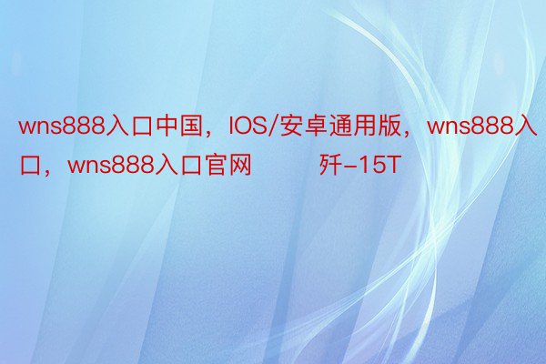 wns888入口中国，IOS/安卓通用版，wns888入口，wns888入口官网        歼-15T