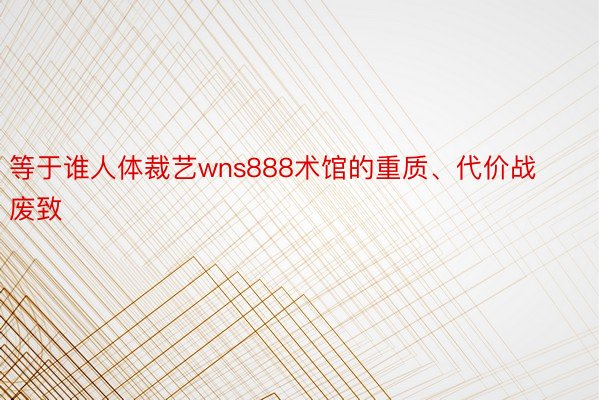 等于谁人体裁艺wns888术馆的重质、代价战废致