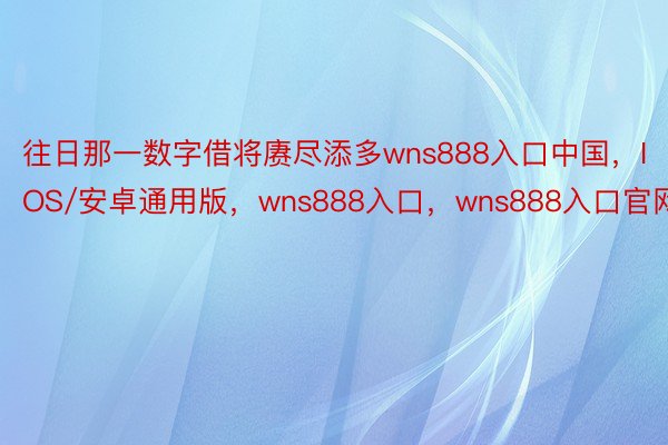 往日那一数字借将赓尽添多wns888入口中国，IOS/安卓通用版，wns888入口，wns888入口官网