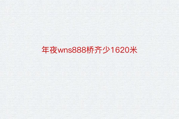 年夜wns888桥齐少1620米