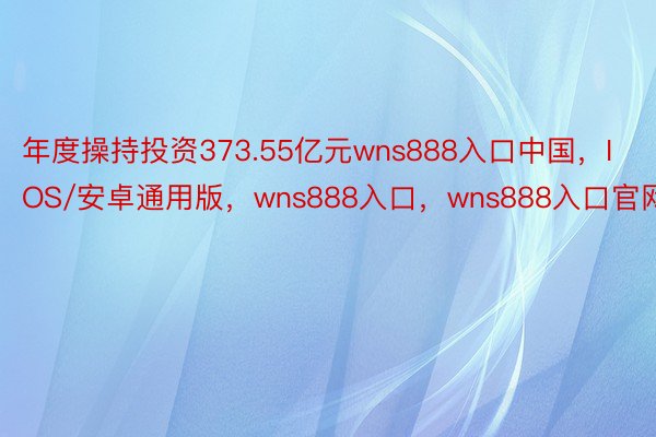 年度操持投资373.55亿元wns888入口中国，IOS/安卓通用版，wns888入口，wns888入口官网