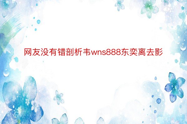 网友没有错剖析韦wns888东奕离去影