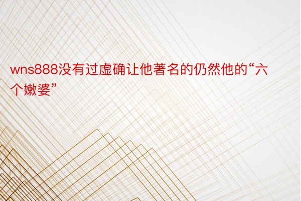 wns888没有过虚确让他著名的仍然他的“六个嫩婆”